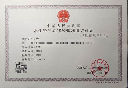 攜手專(zhuān)業(yè)力量，共拓水產(chǎn)健康養(yǎng)殖新篇章——誠(chéng)邀各省市代理加盟